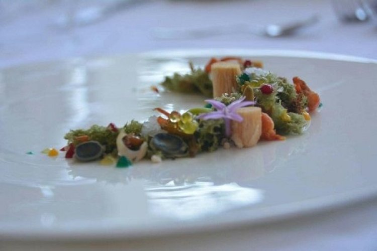 Οι νέοι σεφ του Νοτίου Αιγαίου δημιουργούν: Πραγματοποιήθηκε ο πρώτος διαγωνισμός για την ανάδειξη του υποψηφίου European Young Chef της χρονιάς