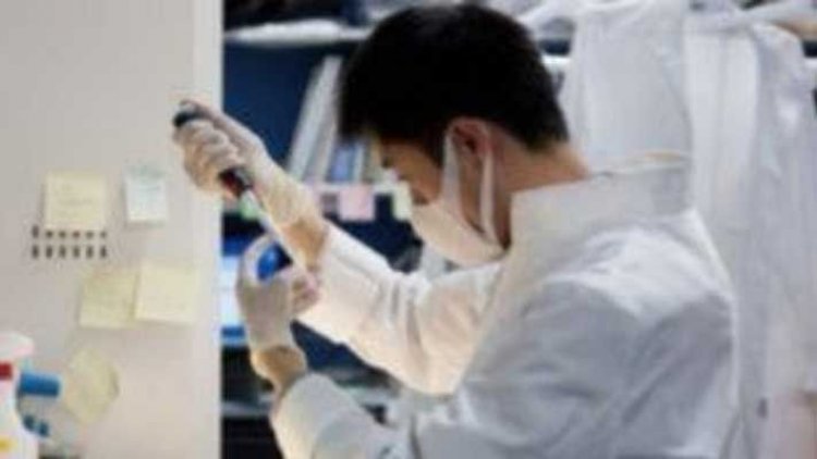 Επιστήμονες δημιούργησαν νέο υλικό για την επίδεση των τραυμάτων