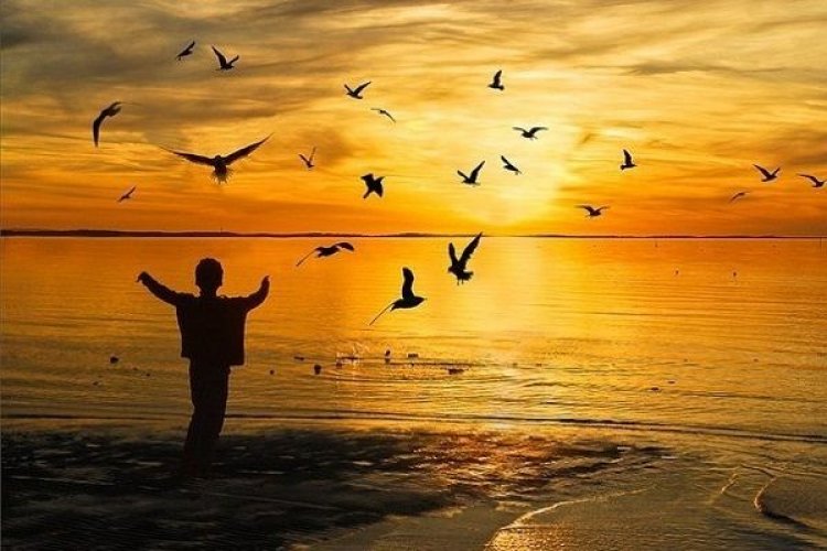 Ο Δρόμος του μαθητή χωρίς Δάσκαλο (Video)