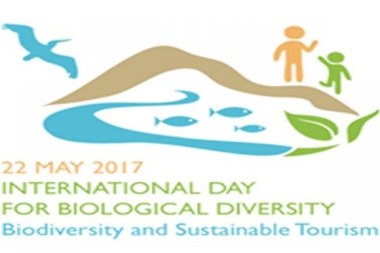 Το λογότυπο της Παγκόσμιας Ημέρας για τη Βιοποικιλότητα φέτος είναι ελληνικό