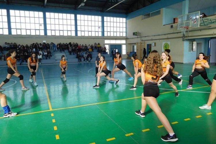 Πρόσκληση του Γ.Σ. Μυκόνου για στελέχωση των Volleyball Schools και της υπό ίδρυση  Women's Volleyball Team