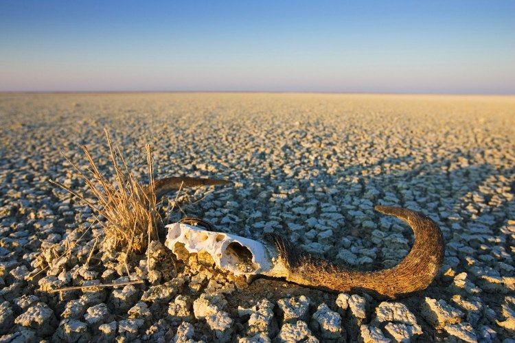 17 Ιουνίου: Παγκόσμια ημέρα κατά της ερημοποίησης και της ξηρασίας... Μεγάλη ανησυχία για τους κινδύνους!!