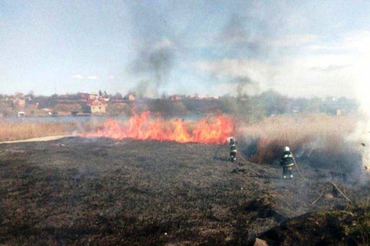 Μεγάλη Φωτιά σε δάσος κοντά στο Τσερνόμπιλ προκαλεί αύξηση της ραδιενέργειας