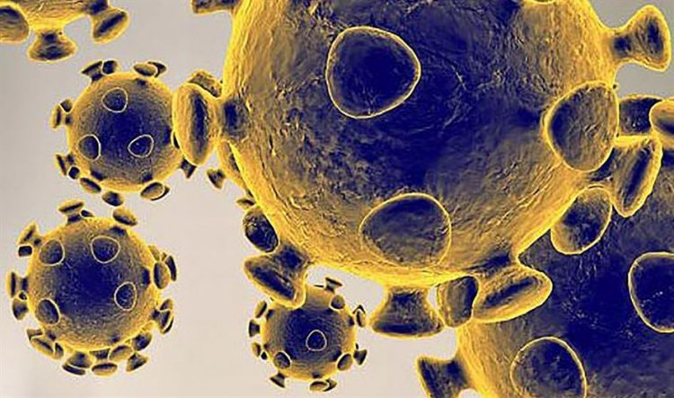 Coronavirus (Covid 19) Disease: 233 νέα περιστατικά μόλυνσης – Τα 20 στις πύλες εισόδου, δύο νέοι θάνατοι