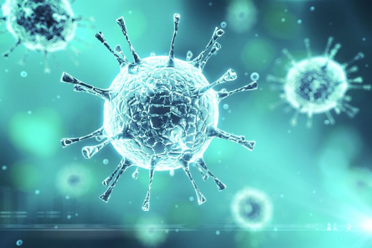 Coronavirus Disease: 241 νέα περιστατικά μόλυνσης – Τα 31 στις πύλες εισόδου, πέντε νέοι θάνατοι