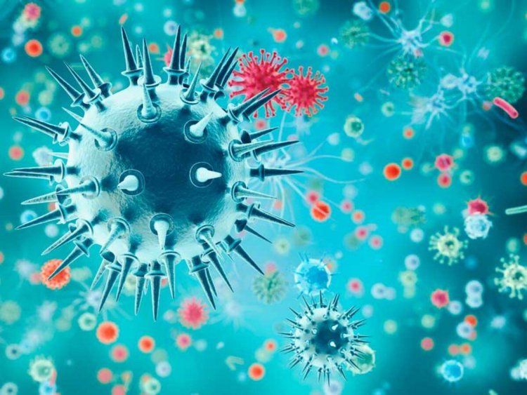 Coronavirus Disease: 372 νέα περιστατικά μόλυνσης – 49 νοσηλεύονται διασωληνωμένοι, τέσσερις νέοι θάνατοι