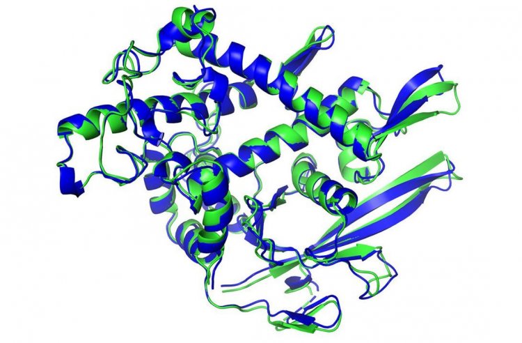 Artificial intelligence (AI): Λύθηκε με τη βοήθεια της τεχνητής νοημοσύνης ένα μυστήριο της βιολογίας σχετικά με τη δομή των πρωτεϊνών