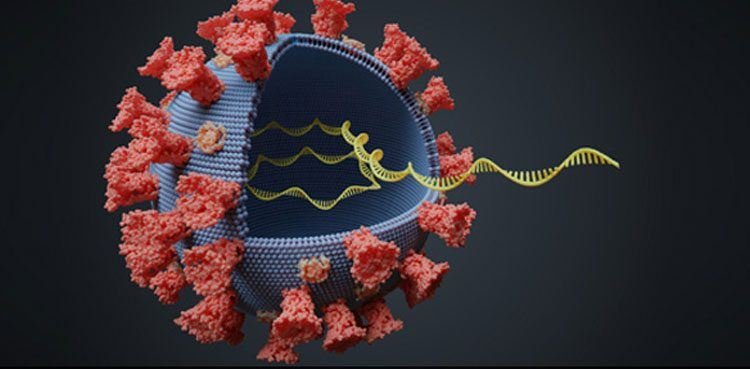 Coronavirus Disease: 610 νέα περιστατικά μόλυνσης –  319 νοσηλεύονται διασωληνωμένοι, 34 νέοι θάνατοι
