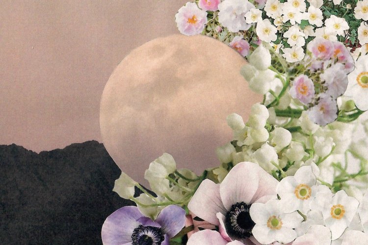 May's Full Flower Moon: Φεγγάρι των Λουλουδιών!! Αύριο Υπερπανσέληνος & Εντυπωσιακή Ολική Σεληνιακή Έκλειψη [Live Stream των φαινομένων]