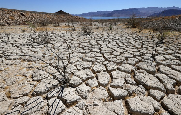 U.N.- 'the next pandemic': Ο ΟΗΕ προειδοποιεί ότι η ξηρασία μπορεί να είναι «η επόμενη πανδημία»