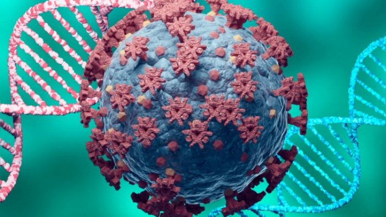 Coronavirus Disease: 633 νέα περιστατικά μόλυνσης, το 1 στην Μύκονο  –  196 νοσηλεύονται διασωληνωμένοι, 11 νέοι θάνατοι
