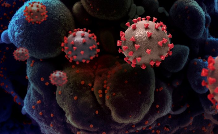 "L type" Covid-19 Variant: Η παραλλαγή Λάμδα του Κορωνοϊού στο στόχαστρο των επιστημόνων!!