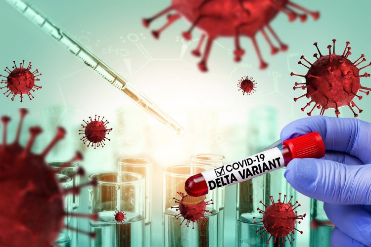 Coronavirus Disease:  5.449 νέα περιστατικά μόλυνσης, 0 στην Μύκονο  –  430 νοσηλεύονται διασωληνωμένοι, 52 νέοι θάνατοι