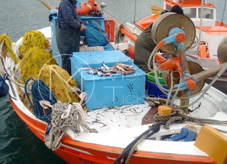 Aegean Islands: Συνεχίζονται οι αποζημιώσεις, λόγω Covid-19, από το επιχειρησιακό πρόγραμμα αλιείας