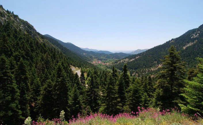 Fires in Greece: ΠΝΠ για απαγόρευση μετακίνησης σε δάση, εθνικούς δρυμούς και περιοχές Natura σε ισχύ μέχρι τη Δευτέρα