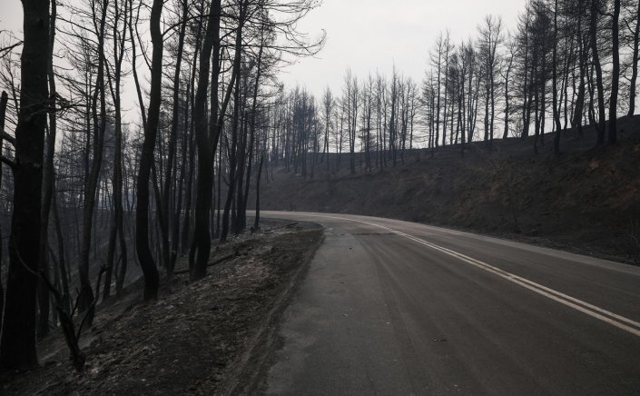 Fires in Greece: Τρίτη στην Μεσόγειο η Ελλάδα σε καμένες εκτάσεις μέχρι τώρα!!