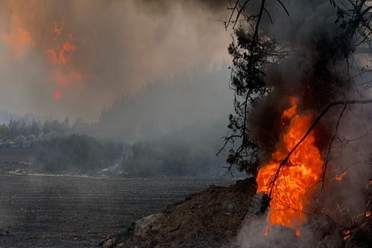 Fires in Greece: Η κατάσταση με όλες τις φωτιές στην Ελλάδα, τα ενεργά μέτωπα - Η ανακοίνωση της πυροσβεστικής
