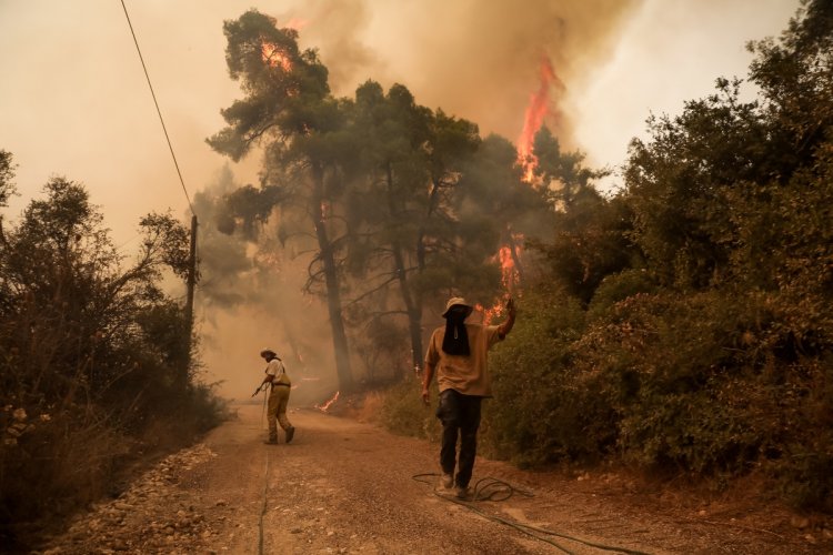 Wildfires - Γκολντάμερ: Οι φωτιές δεν ξεσπούν μόνο εξαιτίας ξηρασίας, ανέμων και κλιματικής αλλαγής  [Ανάλυση]