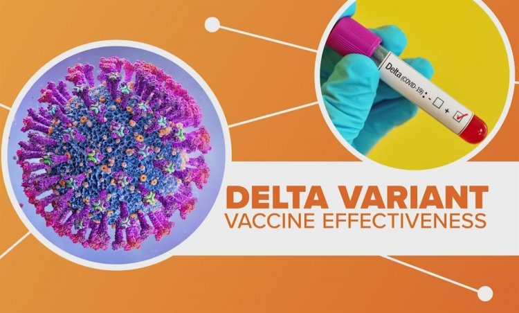 Delta variant: Η αποτελεσματικότητα των εμβολίων Pfizer και Moderna μειώθηκε στο 66% έναντι της παραλλαγής Δέλτα, σύμφωνα με αμερικανική μελέτη