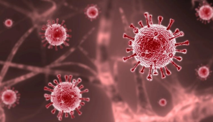 Coronavirus Disease: 4.761 νέα περιστατικά μόλυνσης, τα 7 στην Μύκονο  –  705 νοσηλεύονται διασωληνωμένοι, 72 νέοι θάνατοι
