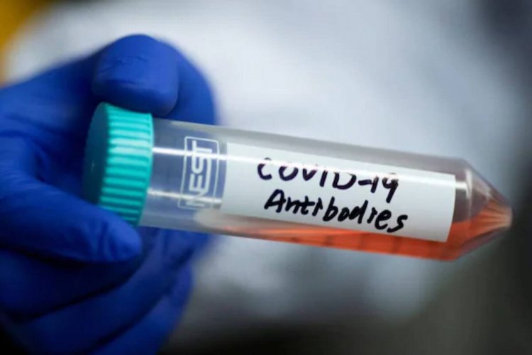 Covid Antibody Test: Πόσα Αντισώματα έχει ο ασθενής και πόσα ο εμβολιασμένος? Τι ισχύει τελικά με τα Τεστ αντισωμάτων?