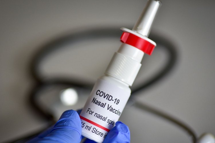 Covid-19 Nasal Vaccine: Θετικές οι προκλινικές δοκιμές του ρινικού εμβολίου κατά του κορωνοϊού