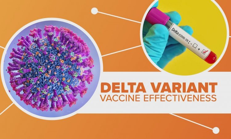 Covid-19  Variants: Επικρατεί η Δ με 745 νέα κρούσματα  - Πού εντοπίζονται τα 812 στελέχη