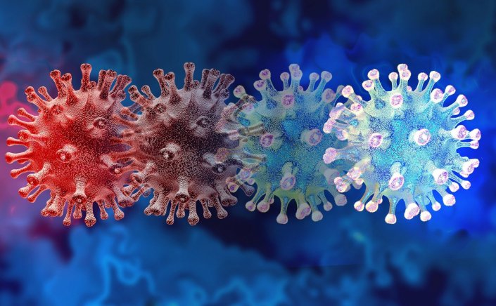 Coronavirus Disease: 19.509 νέα περιστατικά μόλυνσης, τα 62  στην Μύκονο  –  485 νοσηλεύονται διασωληνωμένοι, 82 νέοι θάνατοι