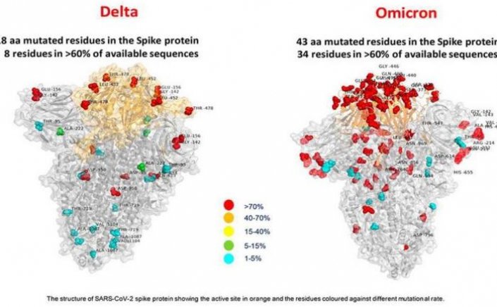 Omicron variant: Η πρώτη «φωτογραφία» της παραλλαγής Omicron με τις μεταλλάξεις της