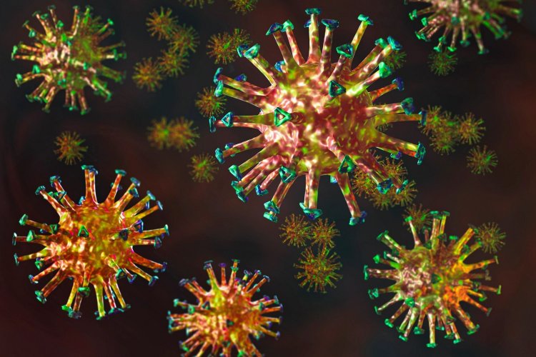 Coronavirus Disease: 19.504 νέα περιστατικά μόλυνσης, τα 57 στην Μύκονο  –  484 νοσηλεύονται διασωληνωμένοι, 93 νέοι θάνατοι