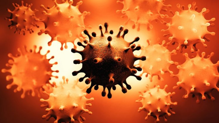 Coronavirus Disease: 10.005 νέα περιστατικά μόλυνσης, τα 10 στην Μύκονο  –  298 νοσηλεύονται διασωληνωμένοι, 46 νέοι θάνατοι
