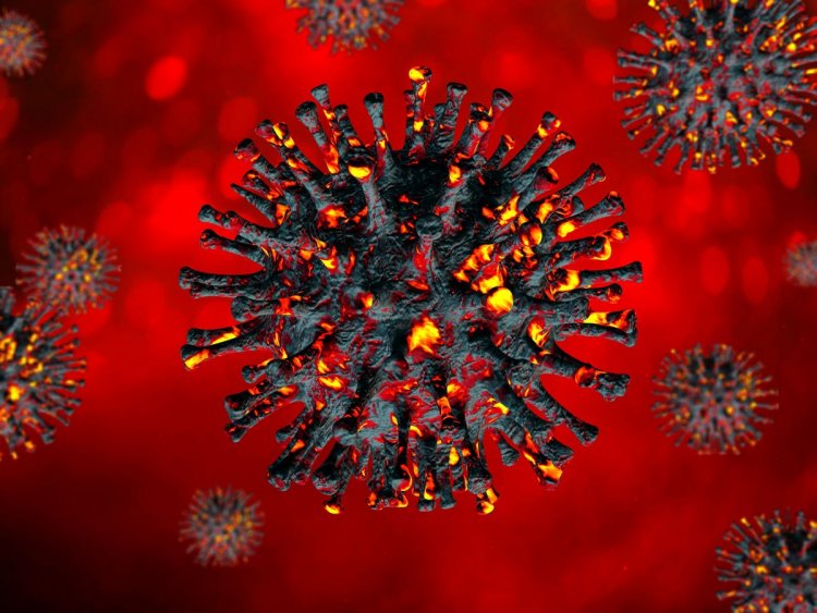 Coronavirus Disease: 17.960 νέα περιστατικά μόλυνσης, τα 63 στην Μύκονο  –  646 νοσηλεύονται διασωληνωμένοι, 115 νέοι θάνατοι