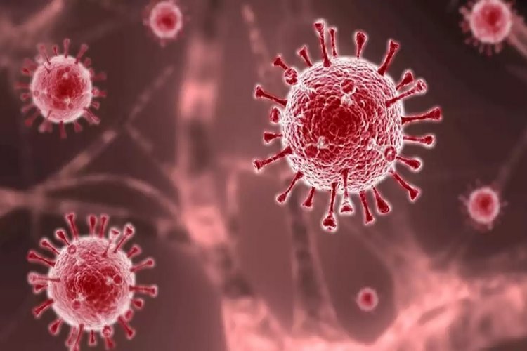 Coronavirus Disease: 26.785 νέα περιστατικά μόλυνσης, τα 17 στην Μύκονο  –  342 νοσηλεύονται διασωληνωμένοι, 34 νέοι θάνατοι