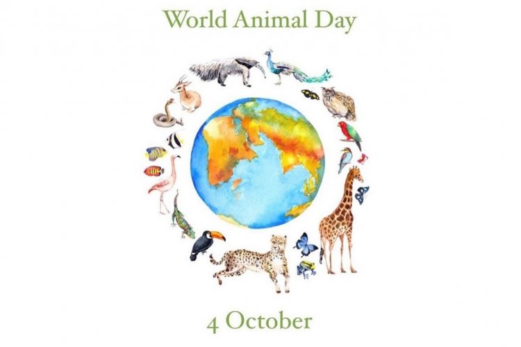 World Animal Day 2022 - Παγκόσμια Ημέρα Ζώων 2022 με θέμα: “Η σχέση του ανθρώπου με τα ζώα, είναι υπόθεση ηθικής”