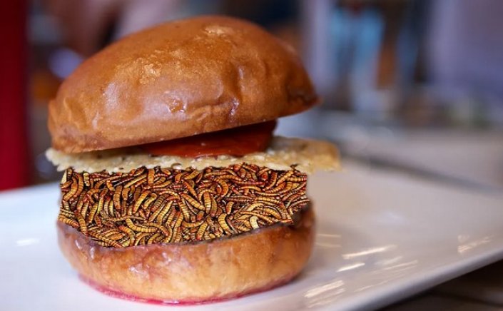 EU edible insects - Χρήση αλεύρων από έντομα στα τρόφιμα: Τι ισχύει στην ΕΕ – H απάντηση της Στ. Κυριακίδου