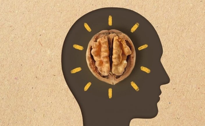 Effect of walnut: Ο πολύτιμος καρπός που «θρέφει» και δυναμώνει το μυαλό των παιδιών, στην  Εφηβεία [Έρευνα]