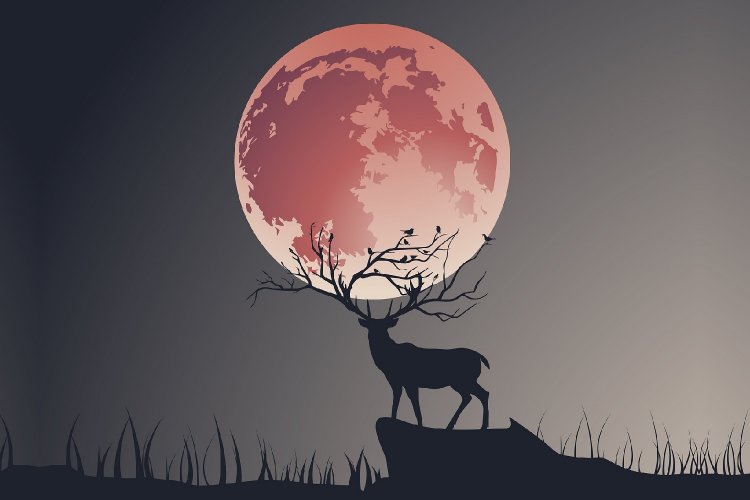 The Stag Moon: Πανσέληνος Ιουλίου 2023!! Γιατί ονομάζεται “Φεγγάρι του Ελαφιού”