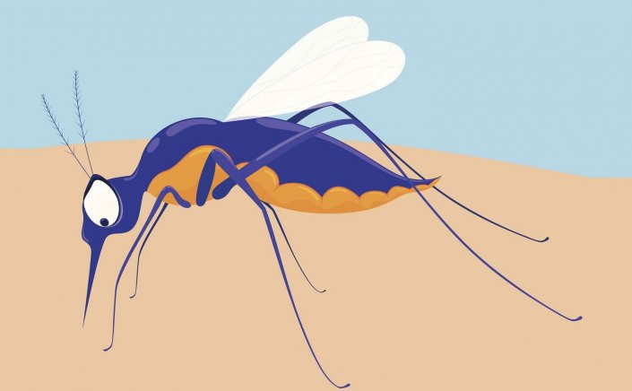 Mosquitoes Attracted: Κι όμως!! Τα κουνούπια προτιμούν συγκεκριμένη ομάδα αίματος!!