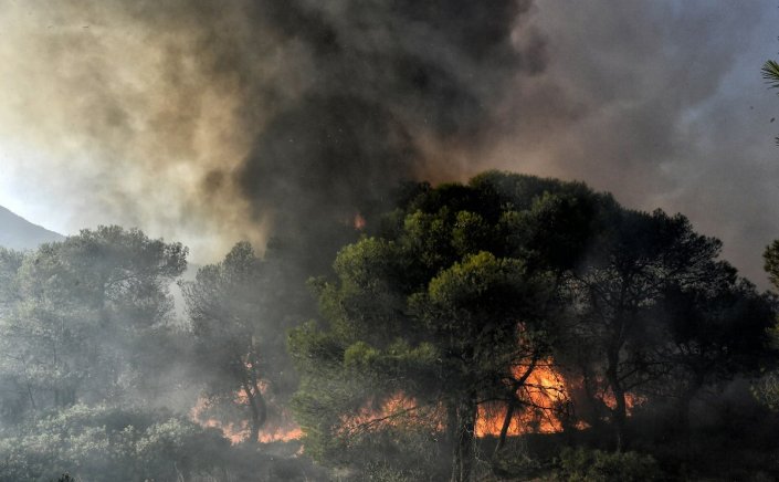 Wildfire in Dervenochoria: Φωτιά στα Δερβενοχώρια!! Πόρτα - πόρτα η εκκένωση στο χωριό Λεύκα - Μάχη να μην φτάσουν οι φλόγες στην Πάρνηθα!!