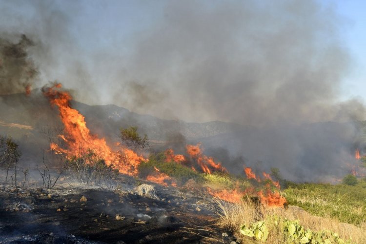 Wildfires in Greece: Μικρές αναζωπυρώσεις στη Ρόδο!! Η εικόνα σε Μαγνησία, Κέρκυρα, Κάρυστο, Λαμία και Άρτα!!