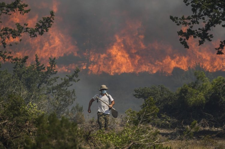 Wildfires in Greece: Χάσαμε το στοίχημα με τις φωτιές!! Στάχτη πάνω από 500.000 στρέμματα δάσους μέσα σε 12 μέρες!!