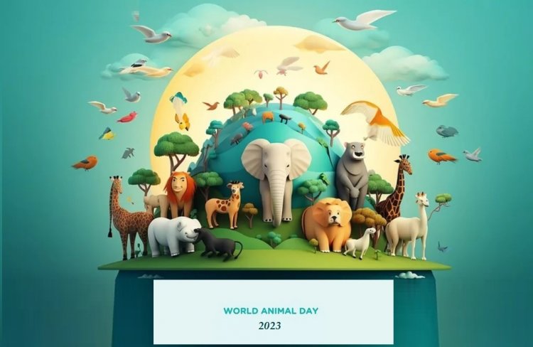 World Animal Day 2023 - Παγκόσμια Ημέρα Ζώων 2023 με θέμα: “Great or Small, Love Them All”- Φέρνουμε στο φως τη σημασία όλων των όντων, μεγάλων και μικρών!!