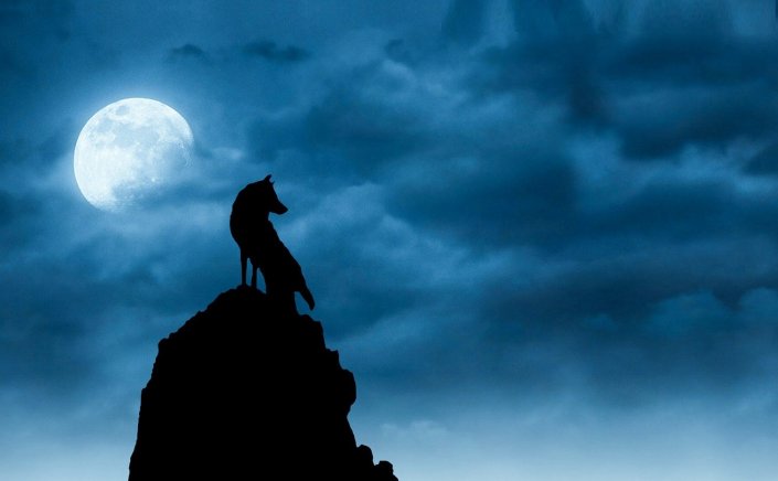 Moon of the Wolf: Πανσέληνος Ιανουαρίου 2024!! Απόψε  «Η εκρηκτική Πανσέληνος στον Λέοντα»  - Γιατί ονομάζεται έτσι