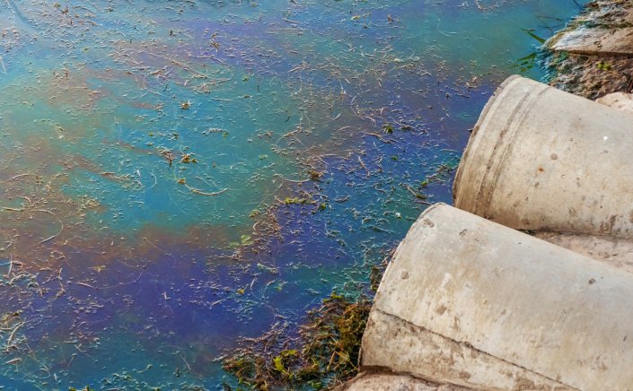 Environmental crimes: Νέους κανόνες και νέες ποινές ενέκρινε το Κοινοβούλιο για τα Περιβαλλοντικά Εγκλήματα