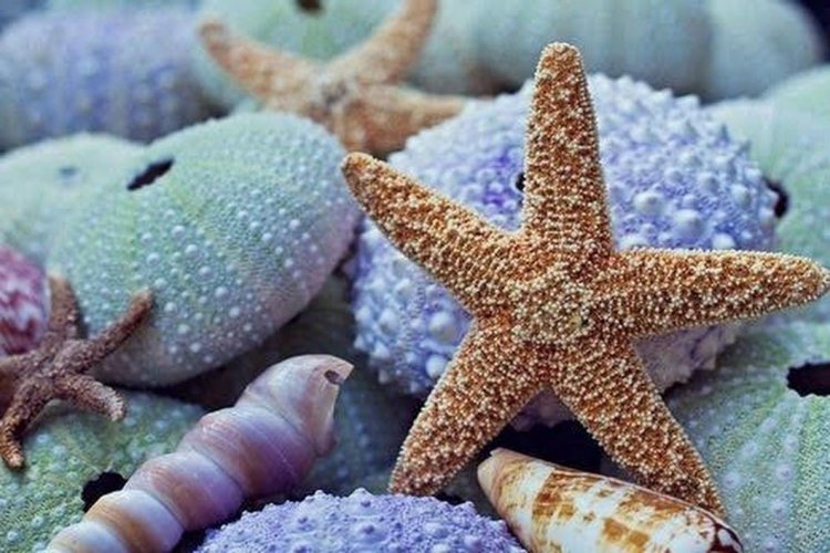 Καλό μήνα!! Καλώς Ήρθες Ιούνιε!! Καλό Καλοκαίρι!!