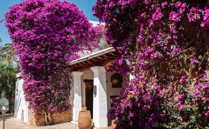 Hotel Sustainability Rating (HSR): Νέο σύστημα αξιολόγησης στα Ξενοδοχεία, με βάση τη βιωσιμότητα