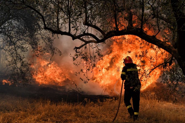 Fire in northeast Attica - GSEE: Επείγουσα ανάγκη λήψης των κατάλληλων μέτρων για όλους που βρίσκονται ή εργάζονται στις πυρόπληκτες περιοχές