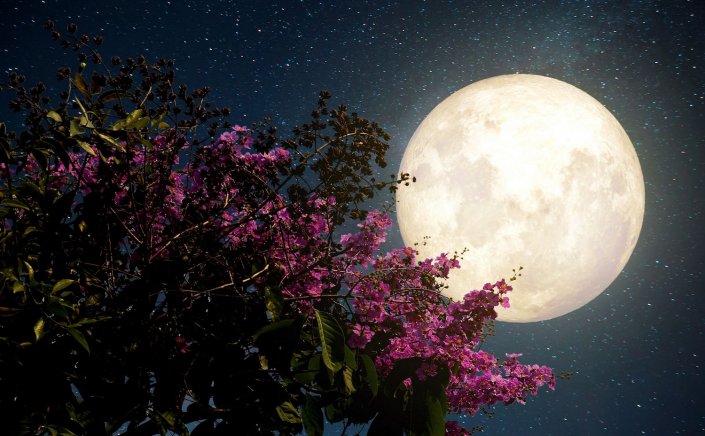 Pink Full Moon: Πανσέληνος Απριλίου 2025!! Μαγεύει το “ροζ φεγγάρι”