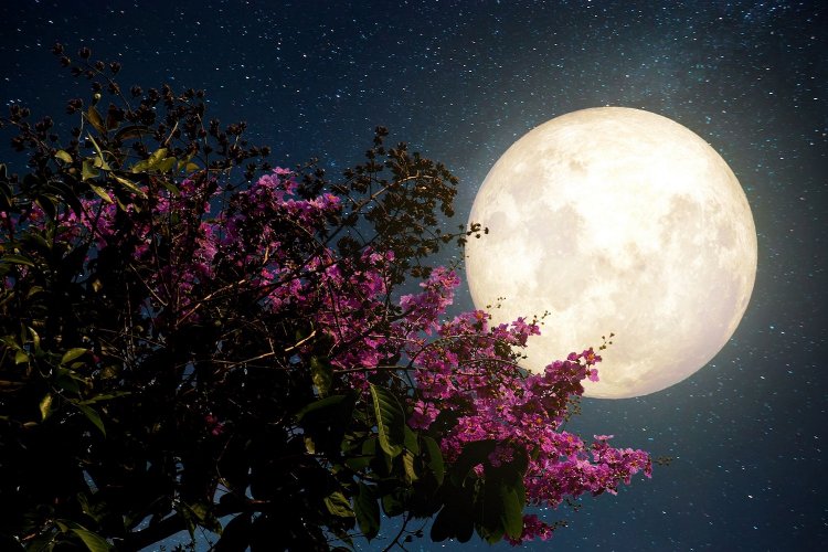 Pink Full Moon: Πανσέληνος Απριλίου 2025!! Μαγεύει το “ροζ φεγγάρι”