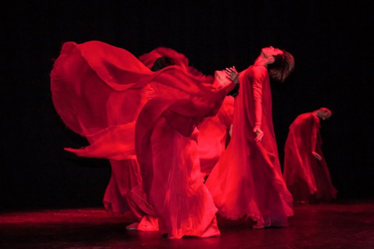 International Dance Day 2025: Το αφυπνιστικό Μήνυμα από τον θρύλο Μιχαήλ Μπαρίσνικοφ, για την Παγκόσμια Ημέρα Χορού 2025, «Ο χορός μπορεί να εκφράσει το ανείπωτο»